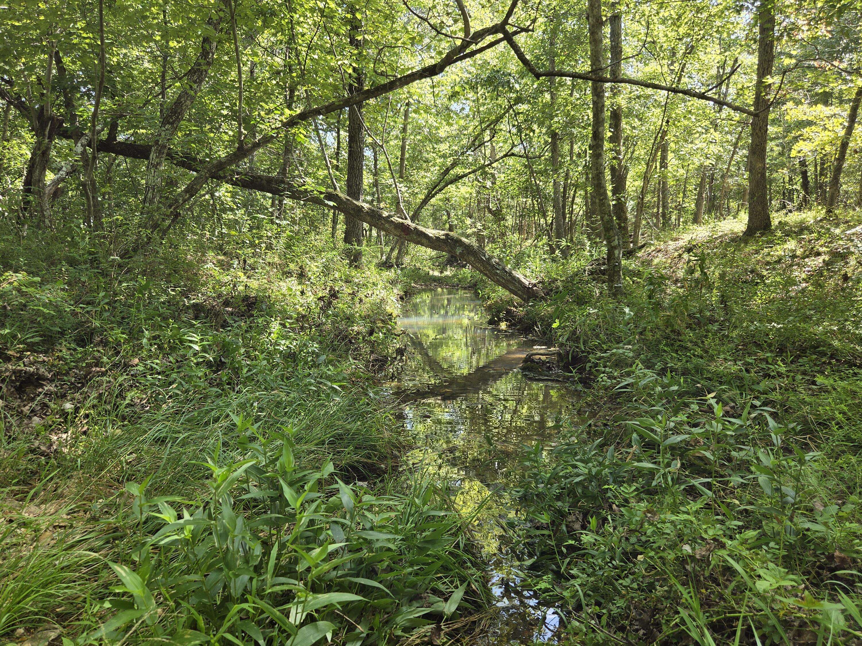 000 County Road 1990, Willow Springs, MO 65793