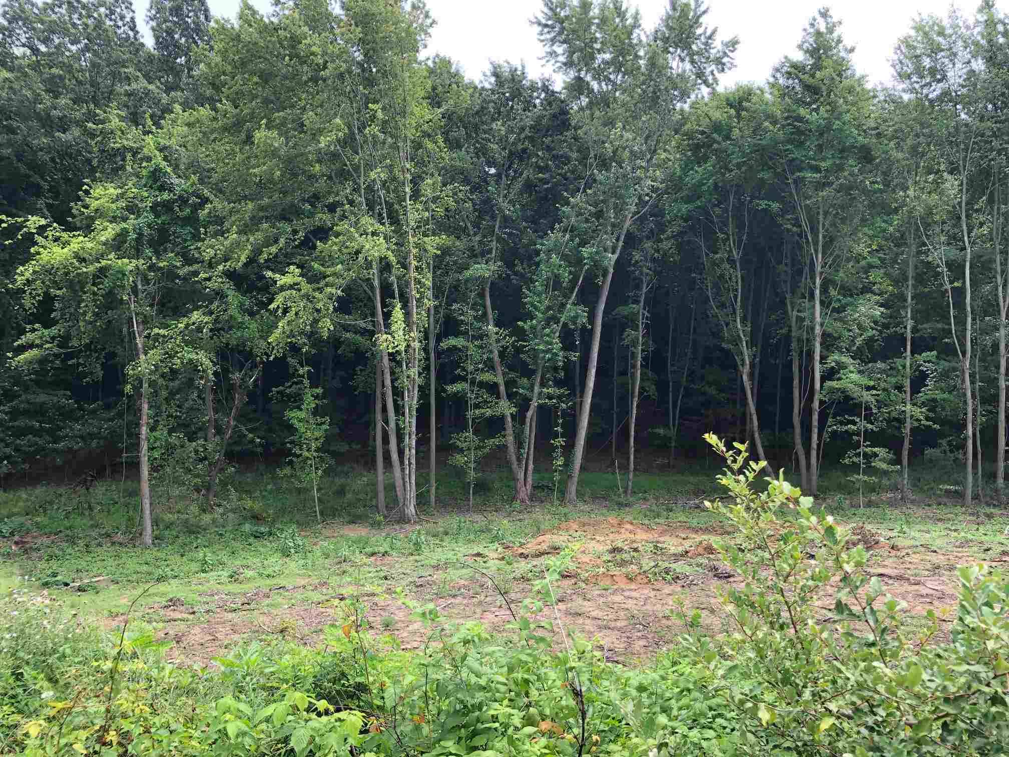 50890 Summit Ridge TRL, South Bend, IN 46628