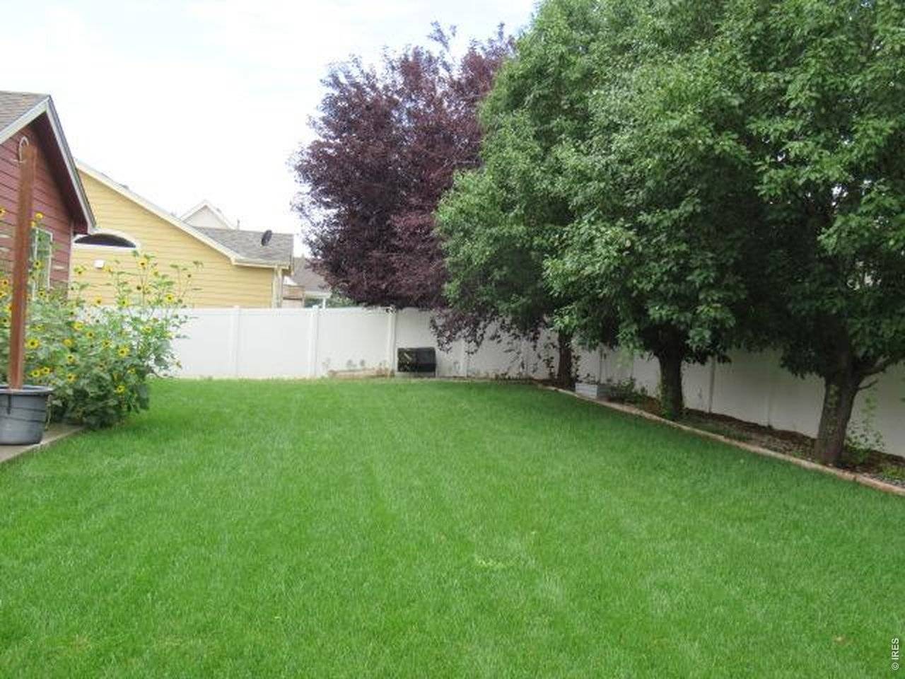 3946 Mount Oxford, Wellington, CO 80549
