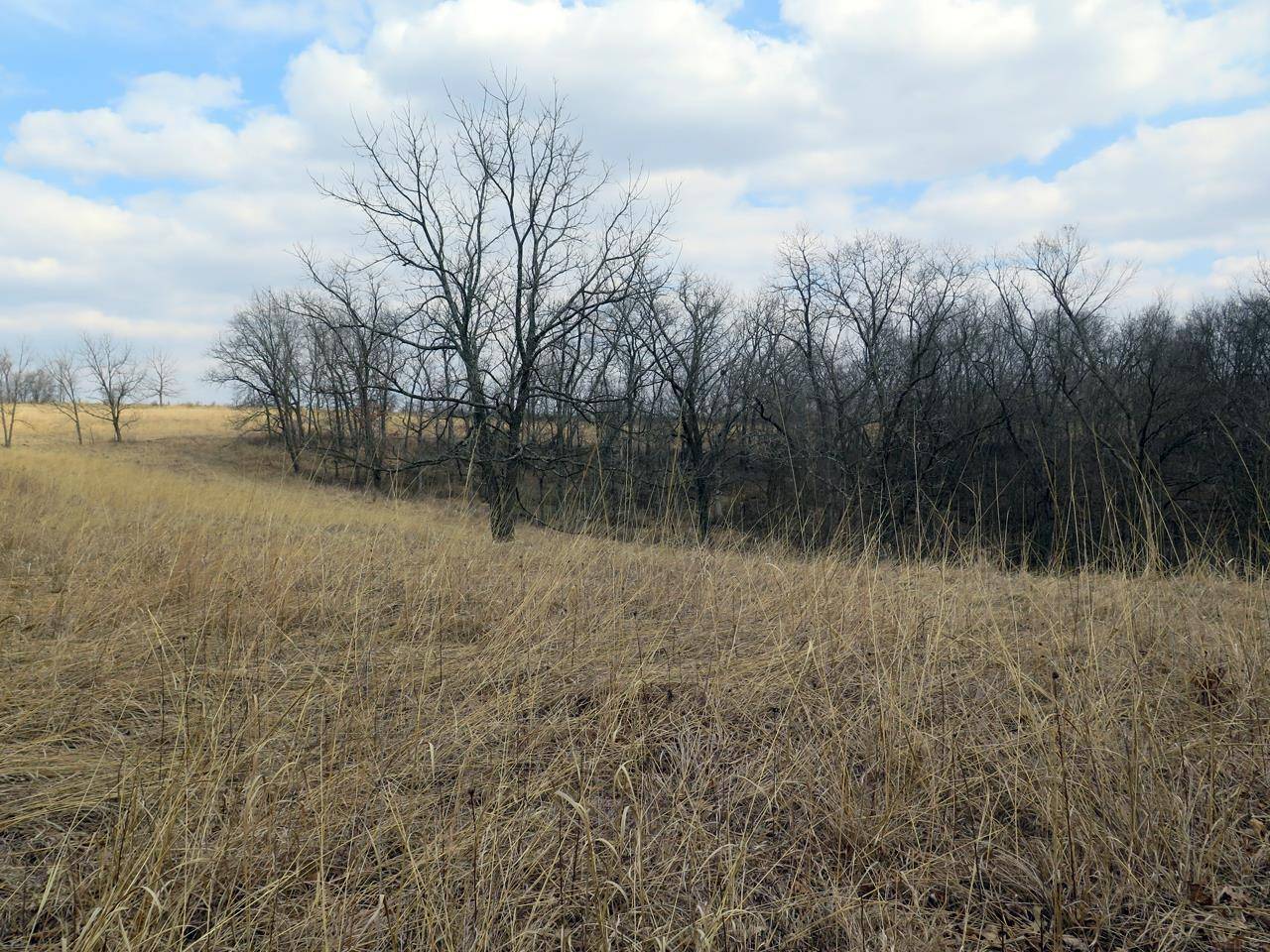 110th AVE, Decorah, IA 52101