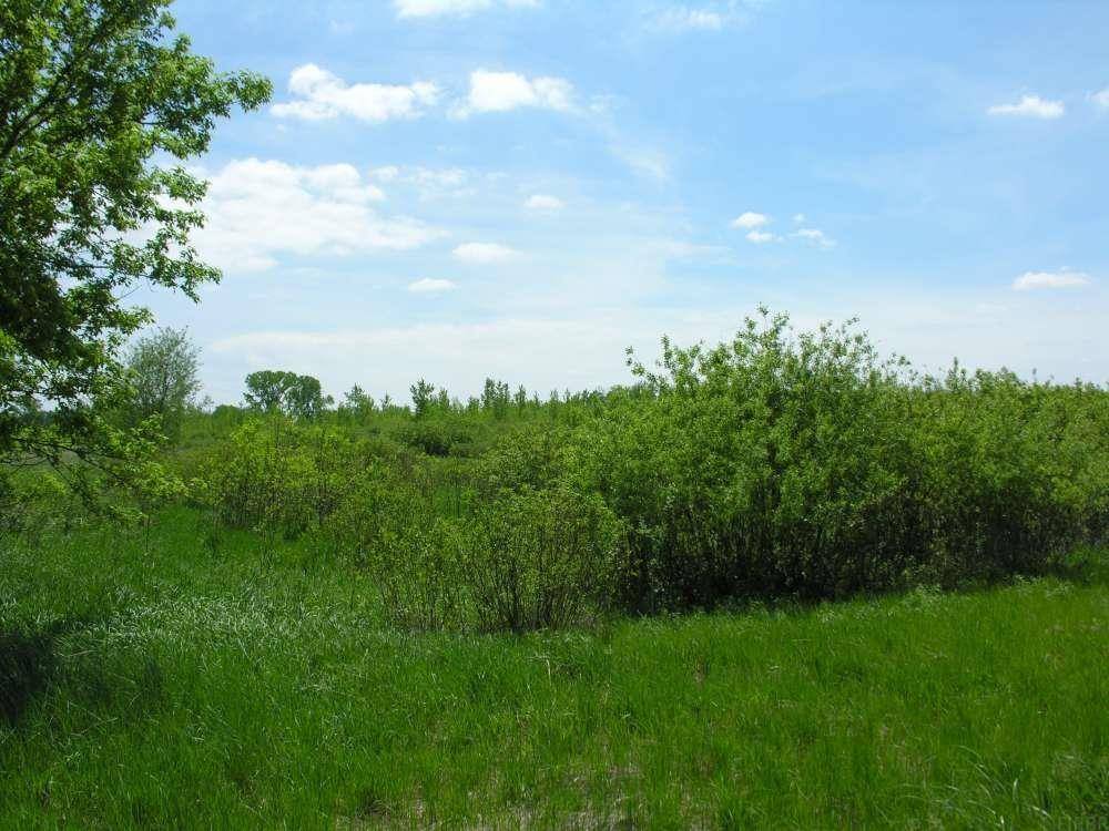 58381 140th ST, Rose Creek, MN 55970