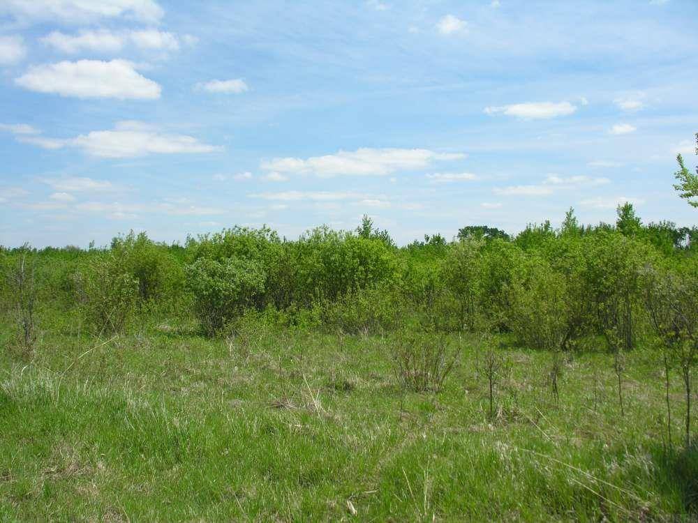58381 140th ST, Rose Creek, MN 55970
