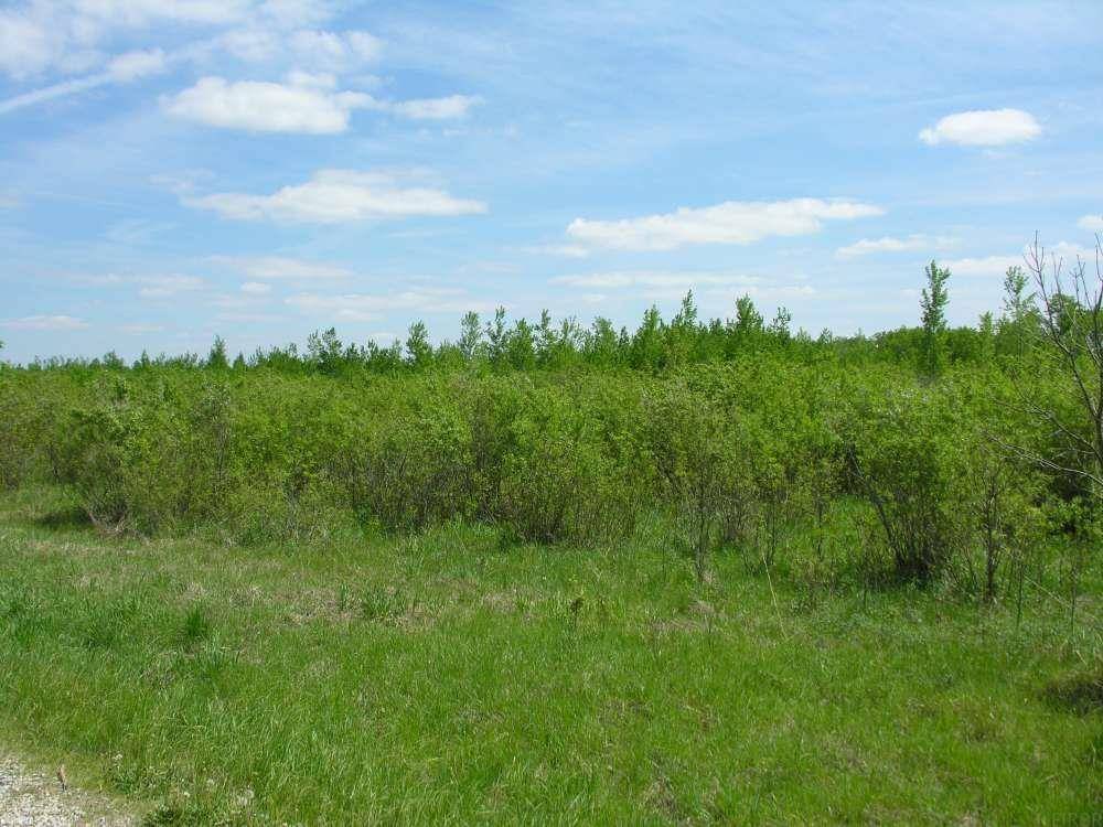 58381 140th ST, Rose Creek, MN 55970