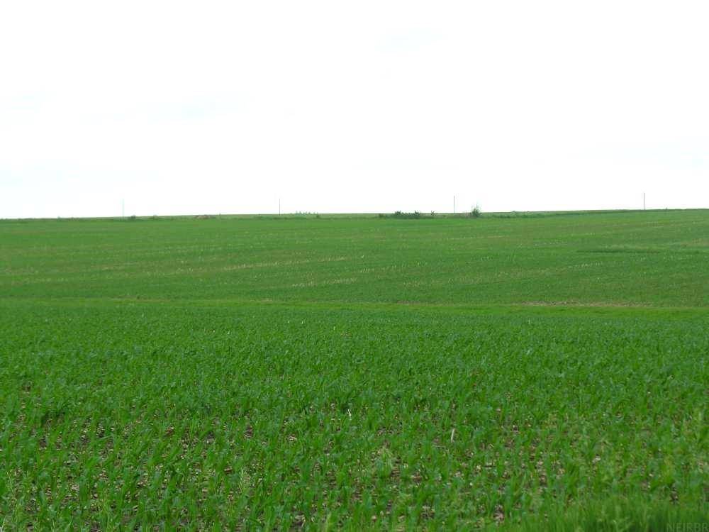 Primrose AVE, Little Cedar, IA 50454