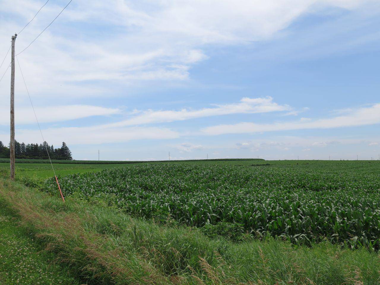 185th AVE, Ossian, IA 52161