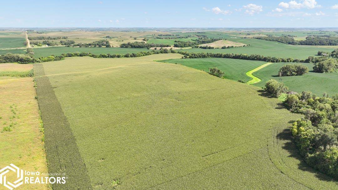2718 Grundy Ave, Hornick, IA 51026