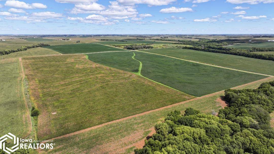 3355 160 St., Randolph, IA 51649