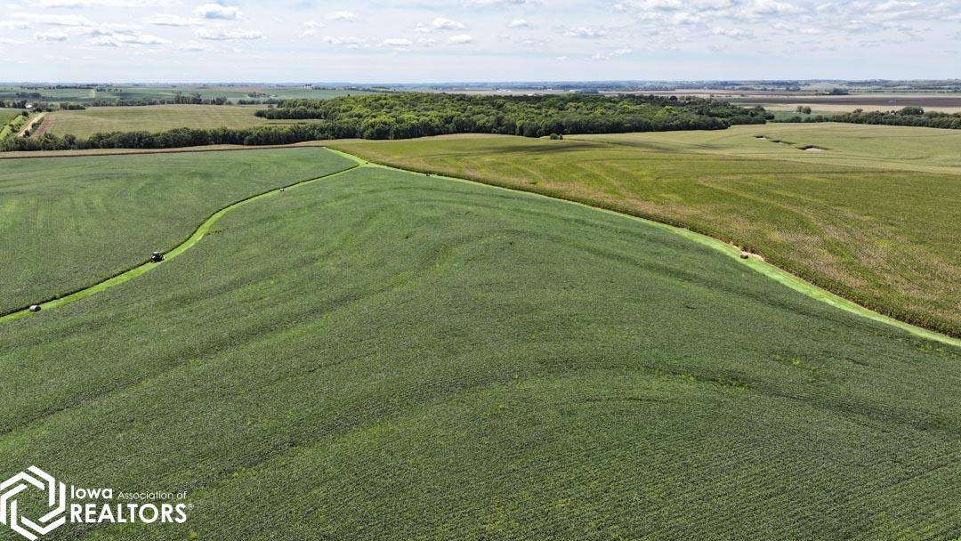 3355 160 St., Randolph, IA 51649