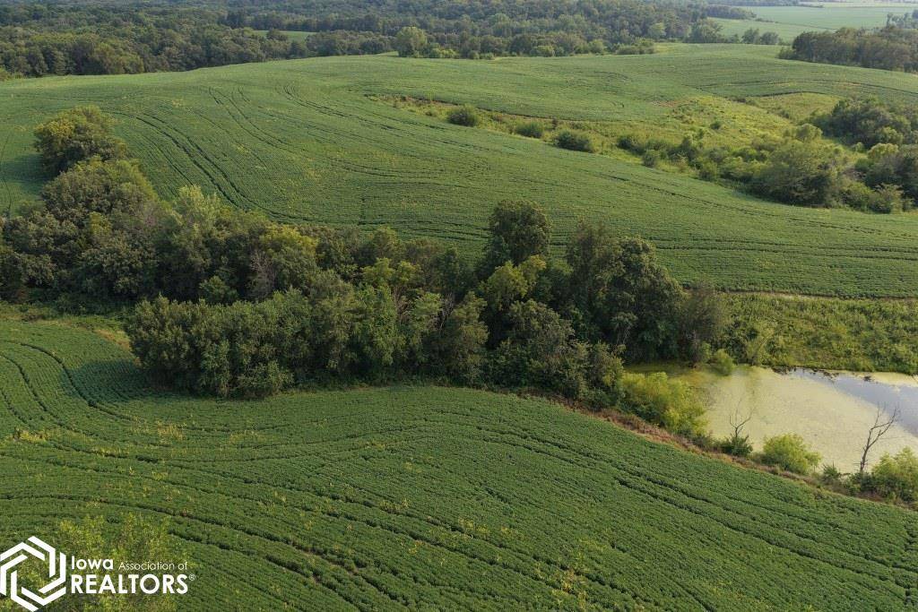 1529 280Th ST, Redding, IA 50860