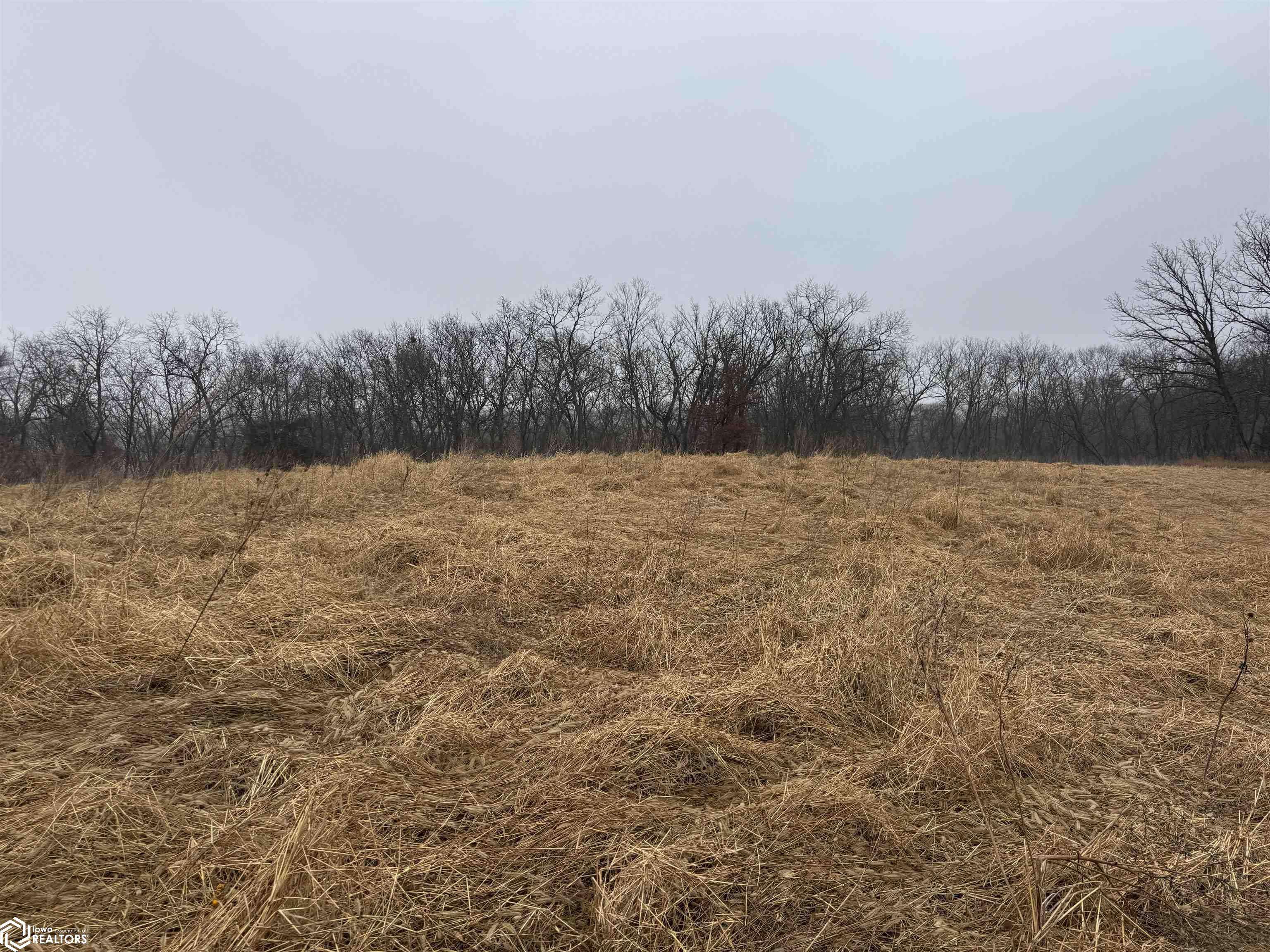 15400 Acorn AVE, Douds, IA 52552