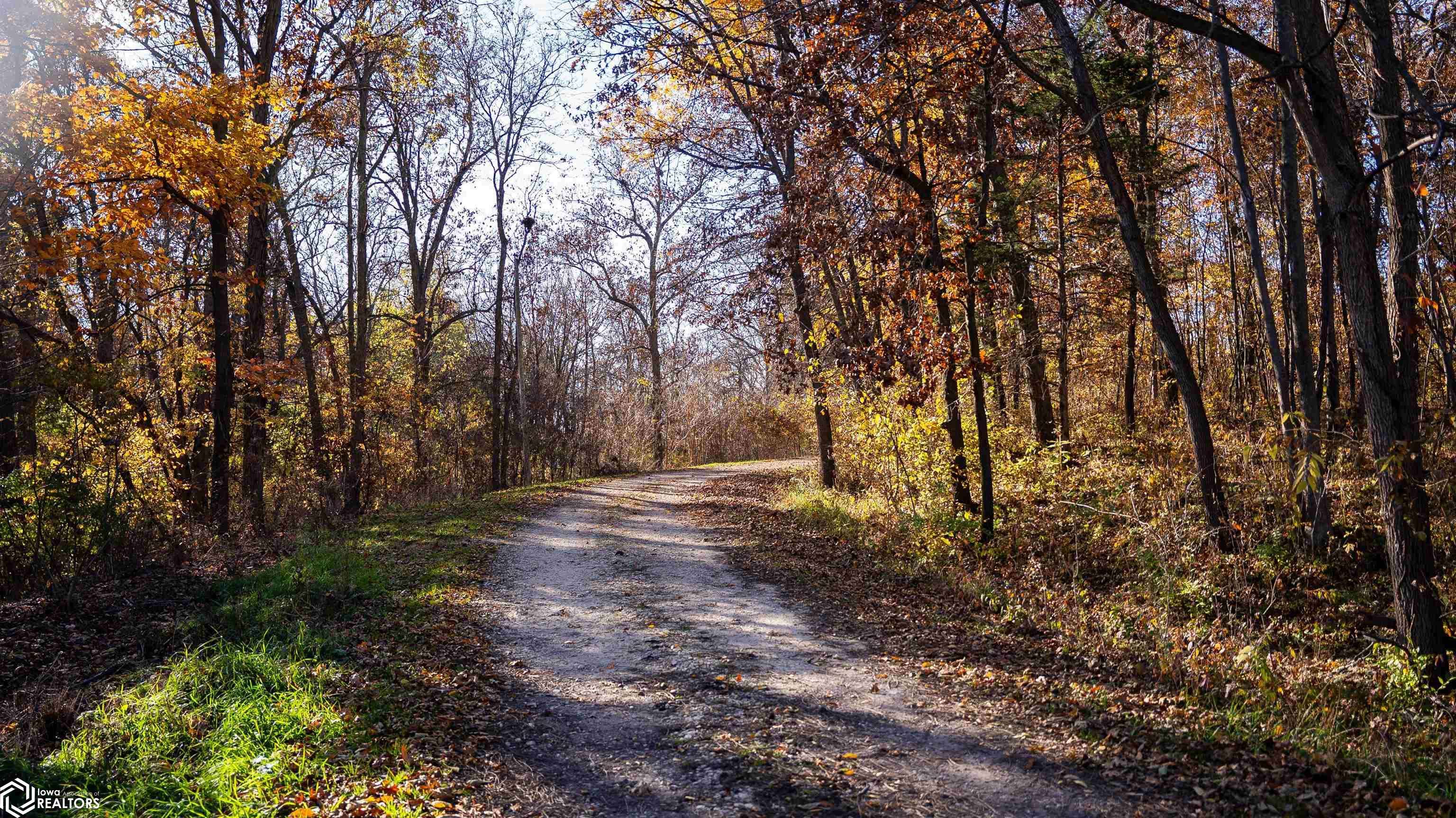 439 Delta AVE, Mechanicsville, IA 52306