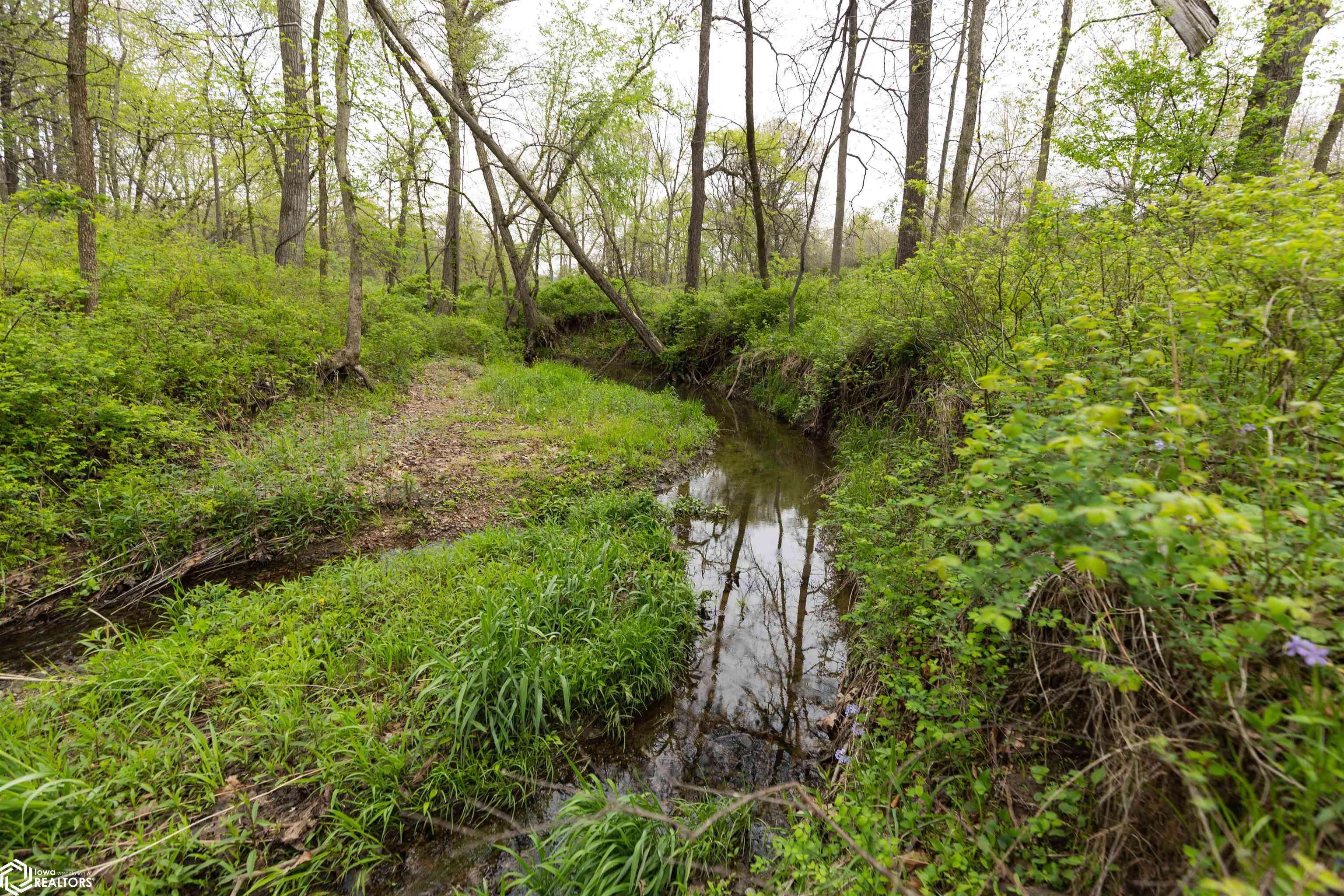 TBD 270th ST, Birmingham, IA 52535