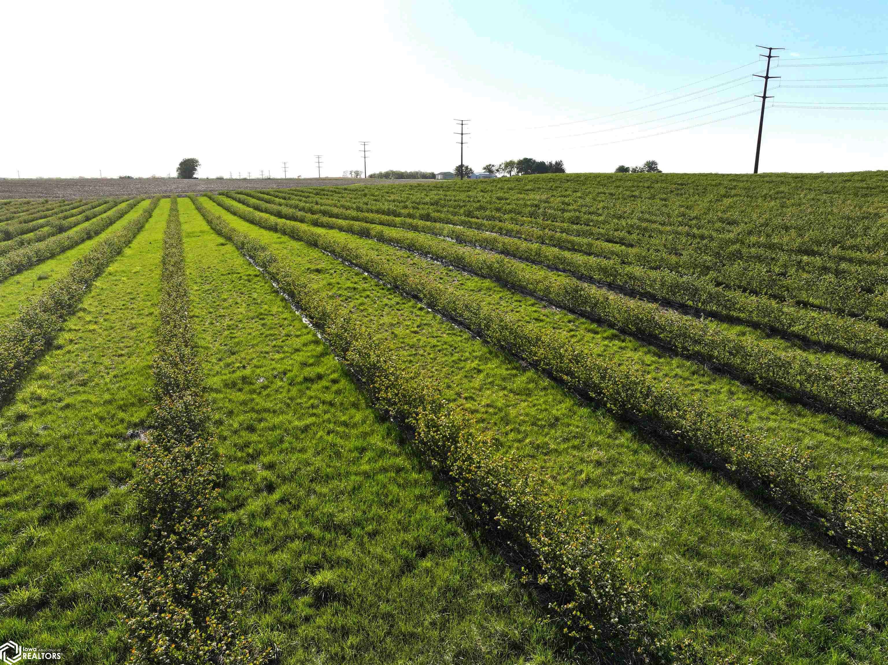 6050 Duffy RD, Fairbank, IA 50629