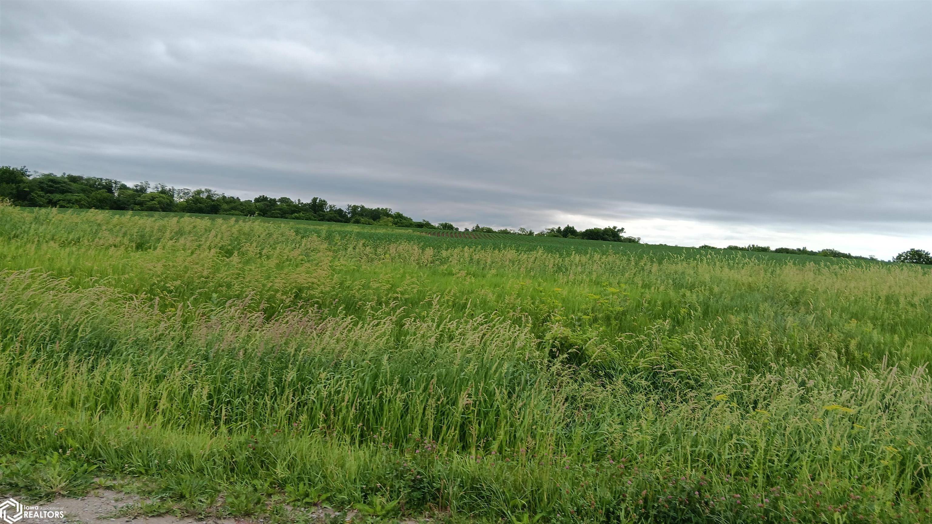0 Ash AVE, Batavia, IA 52533