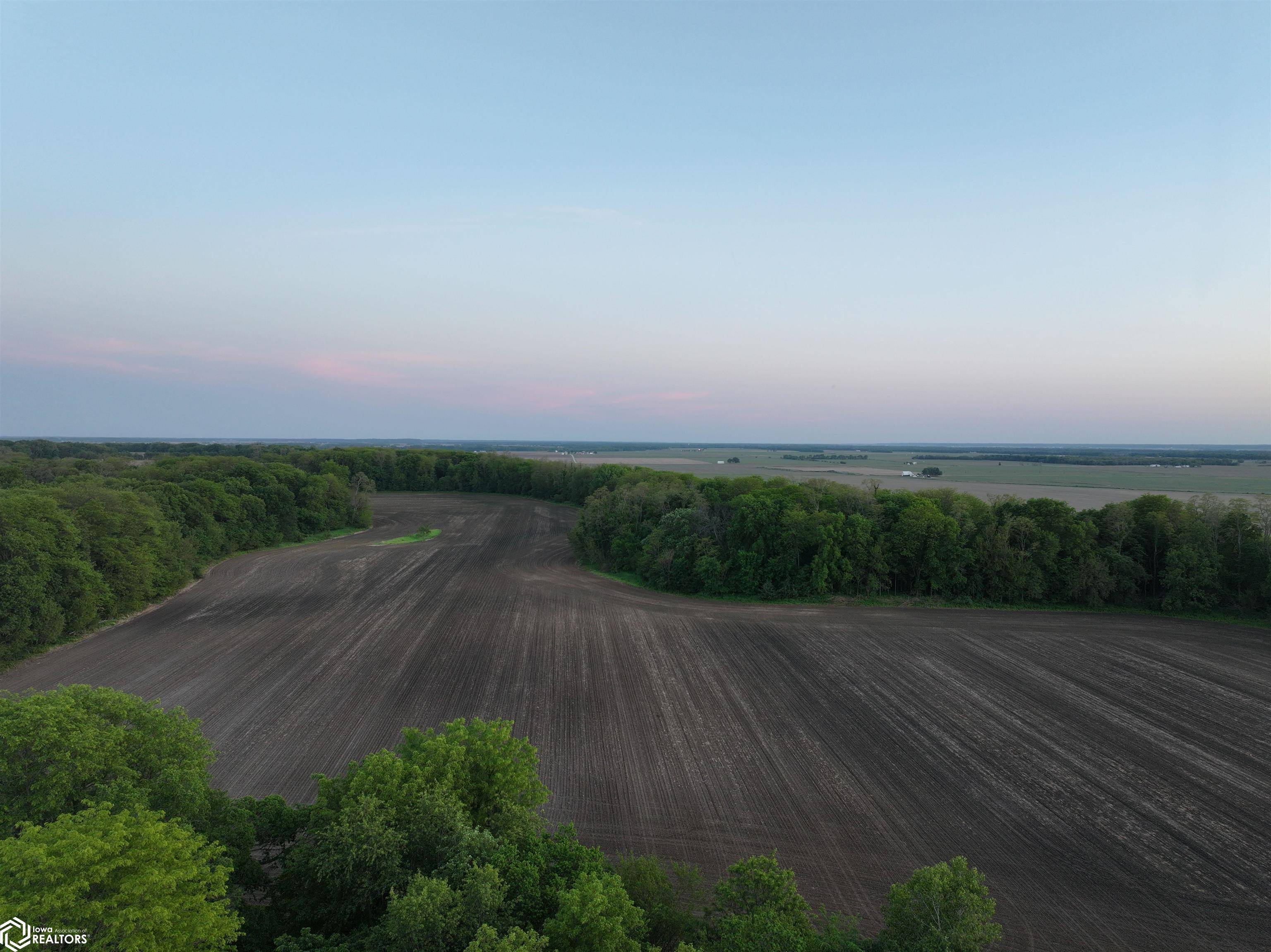 Bluff RD, New Boston, IL 61272