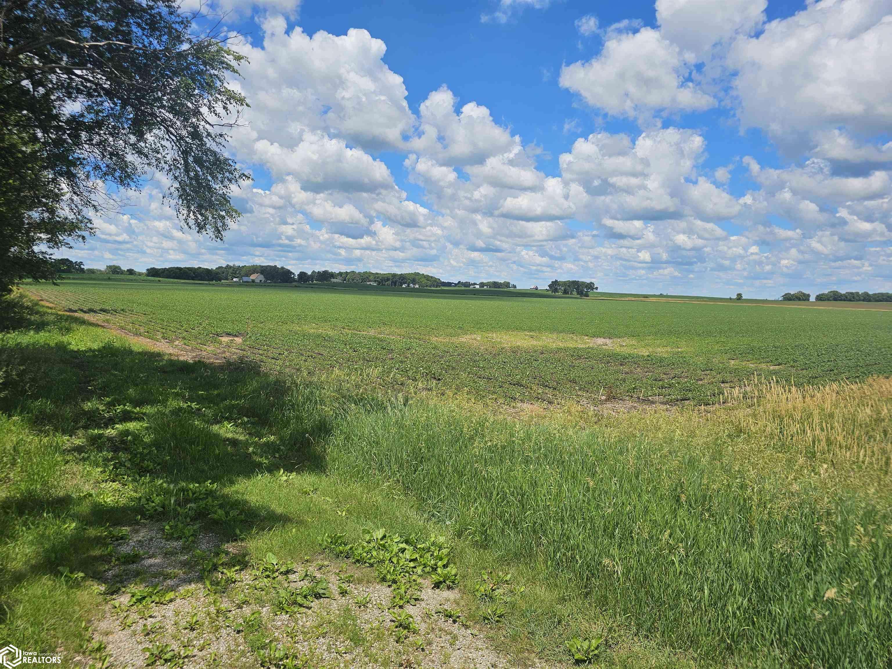 1635100004 Section 35, Osceola Township, Franklin County, IA, Ackley, IA 50601