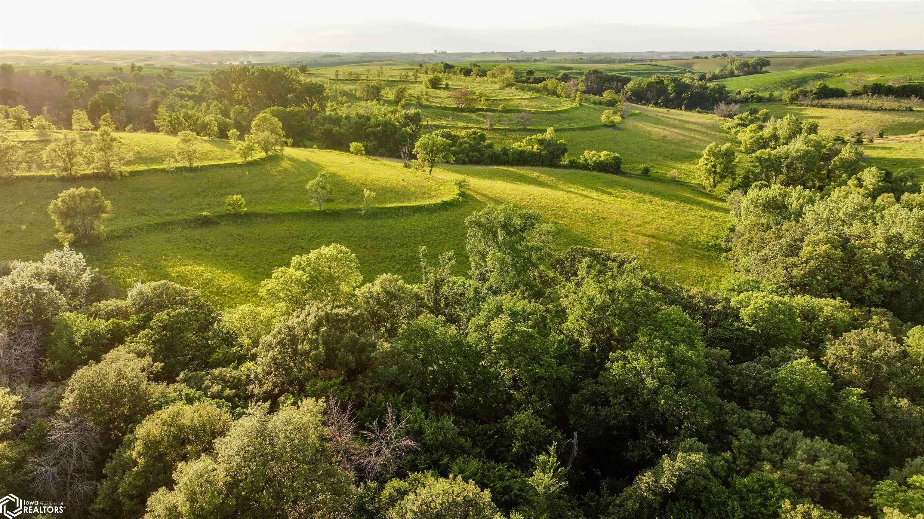 2685 210th St., Arion, IA 51520