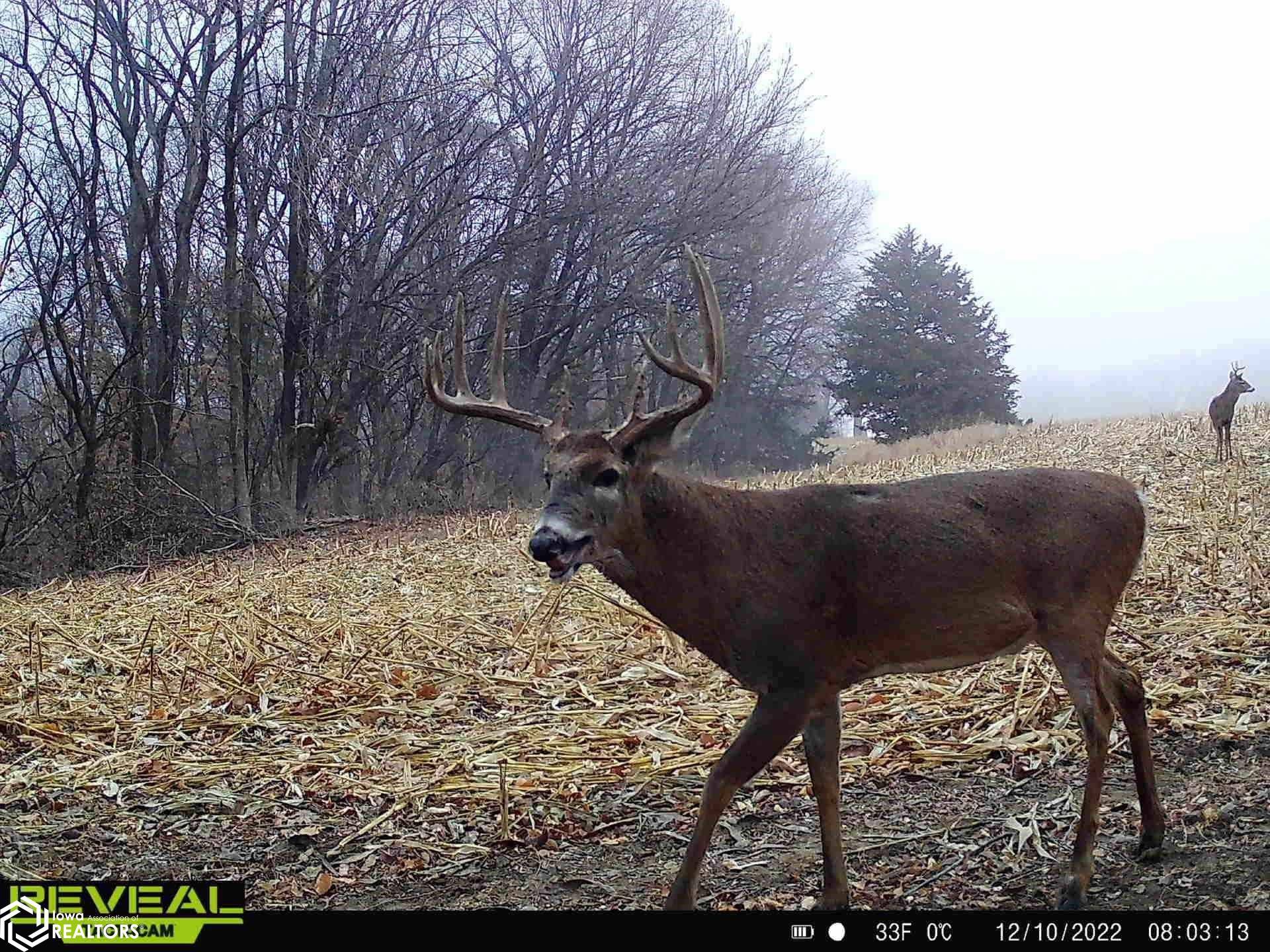 TBD 286th ST, Hamburg, IA 51640