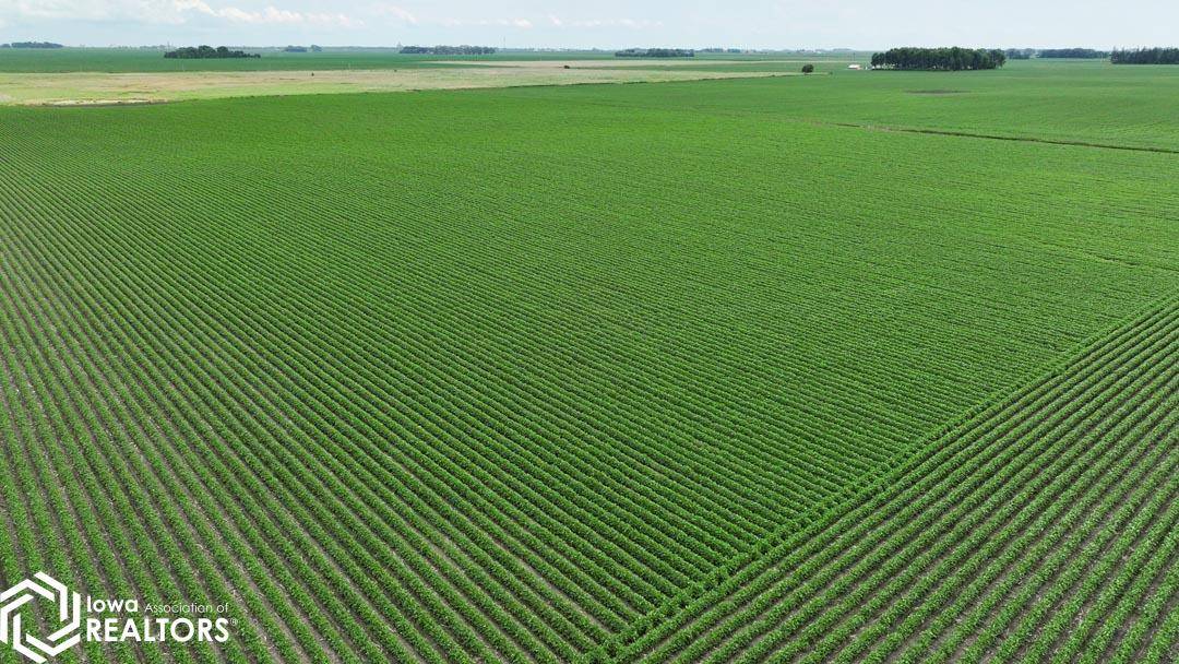 2580 160th St., Manson, IA 50563