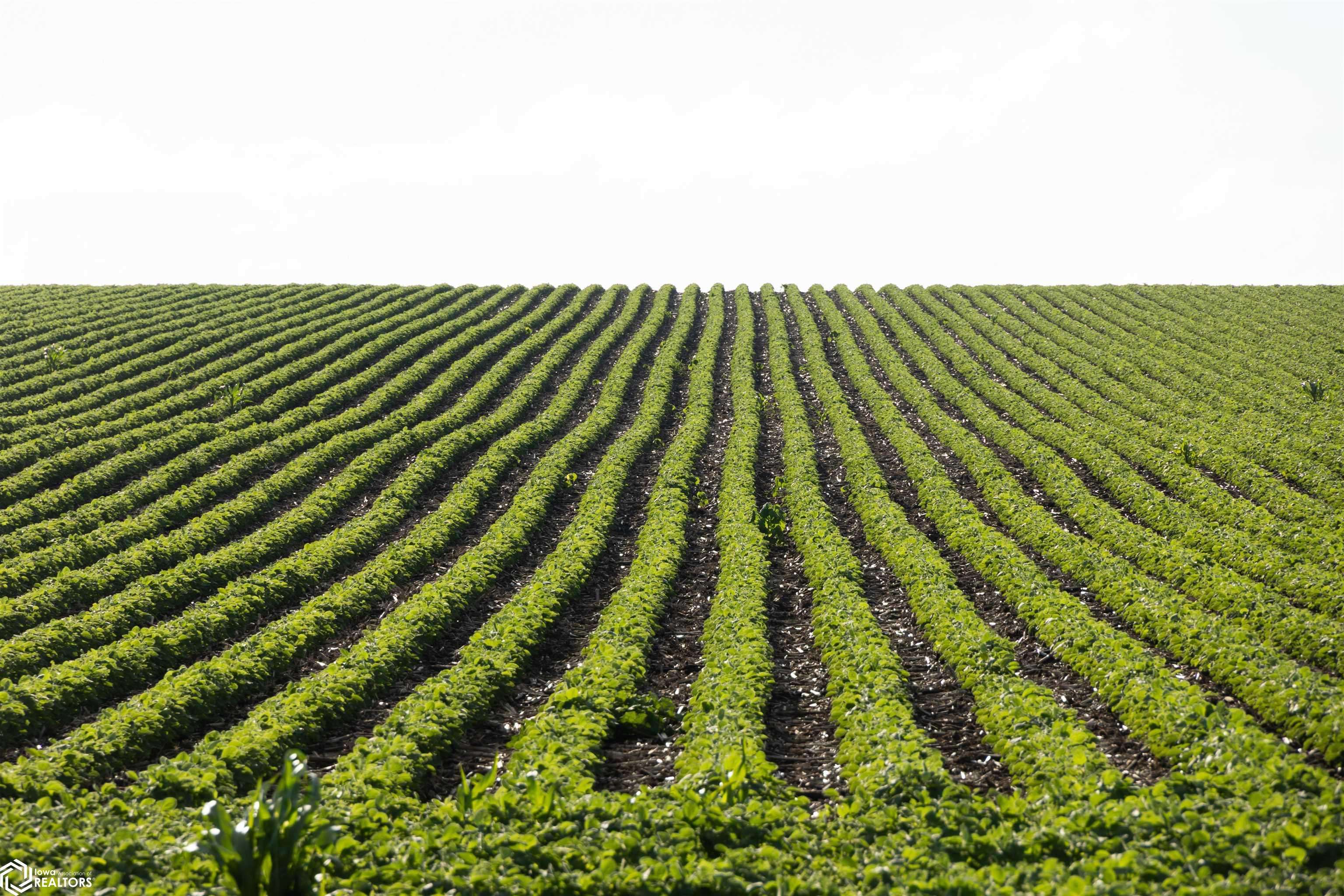 TBD Qq AVE, Traer, IA 50675