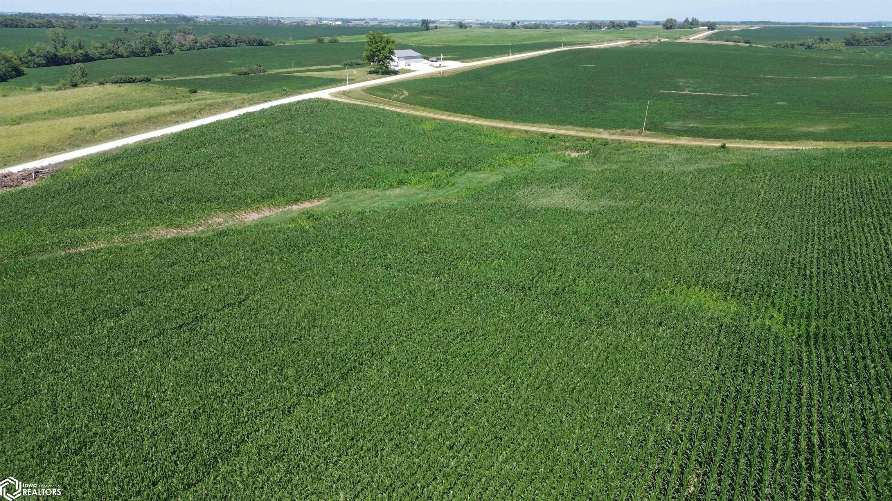 122 Acres Highway 21, Delta, IA 52550