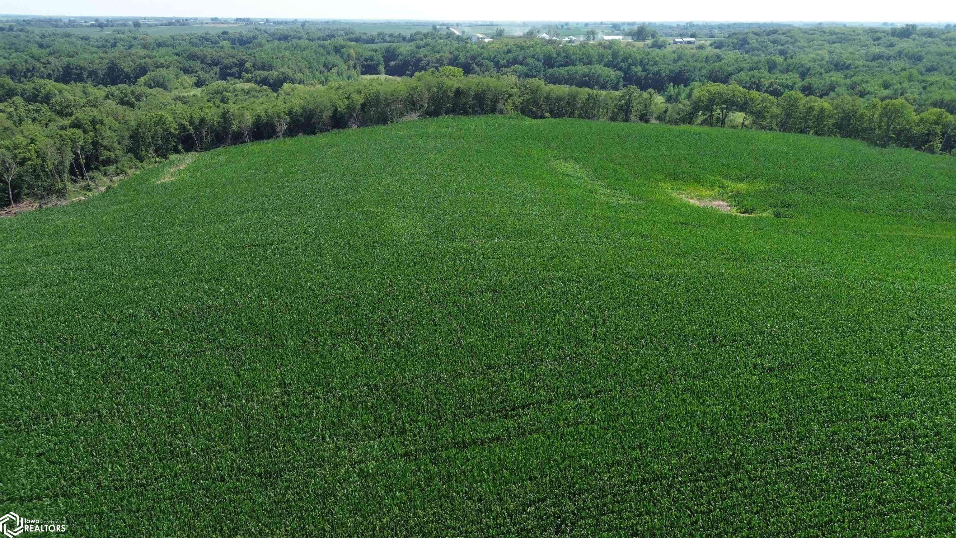 122 Acres Highway 21, Delta, IA 52550