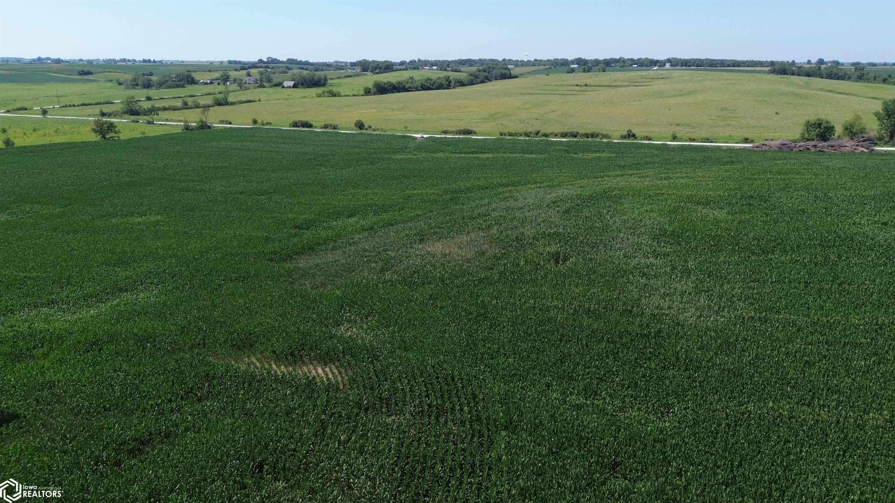 122 Acres Highway 21, Delta, IA 52550