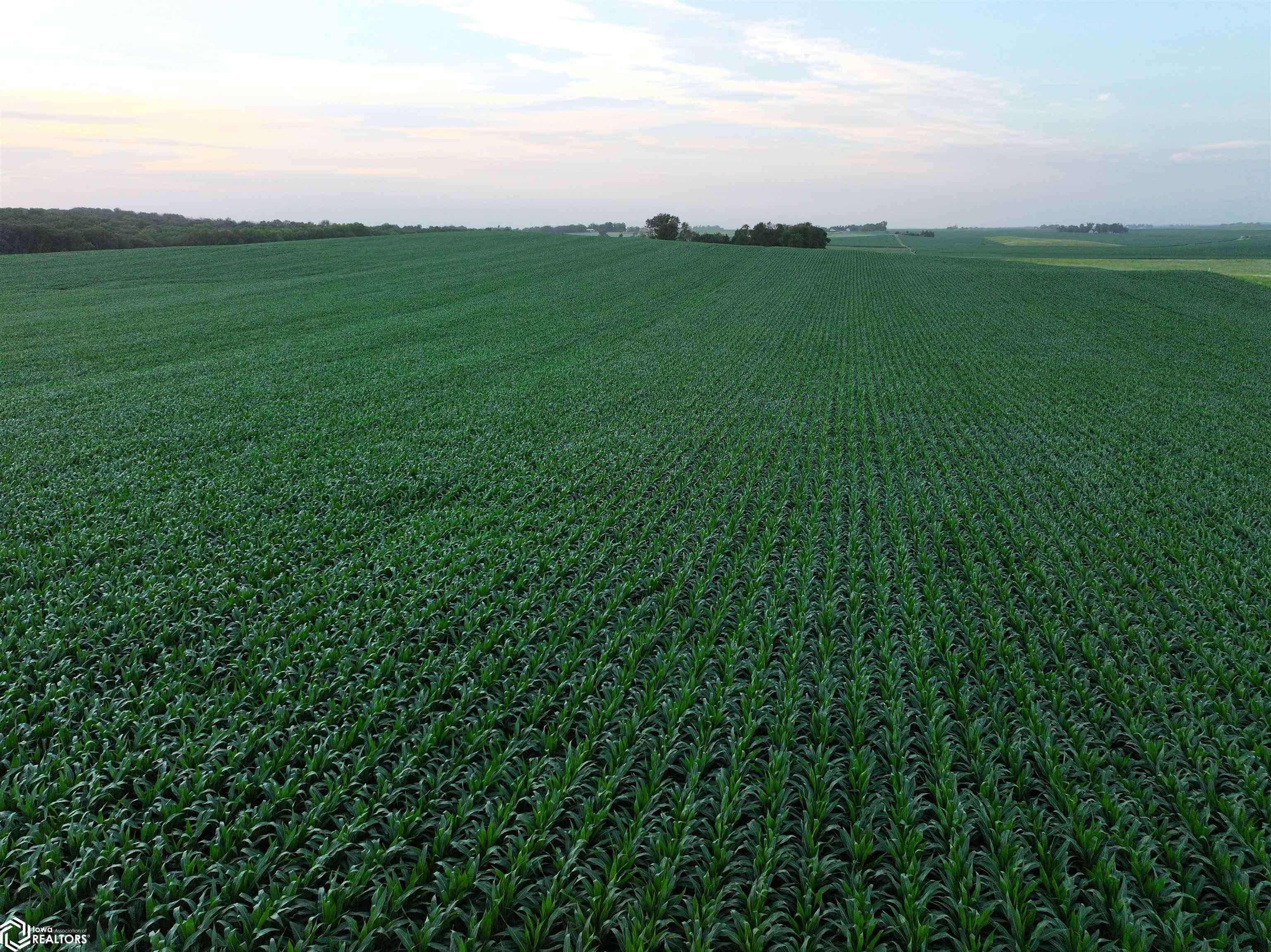 160th RD, Yale, IA 50277