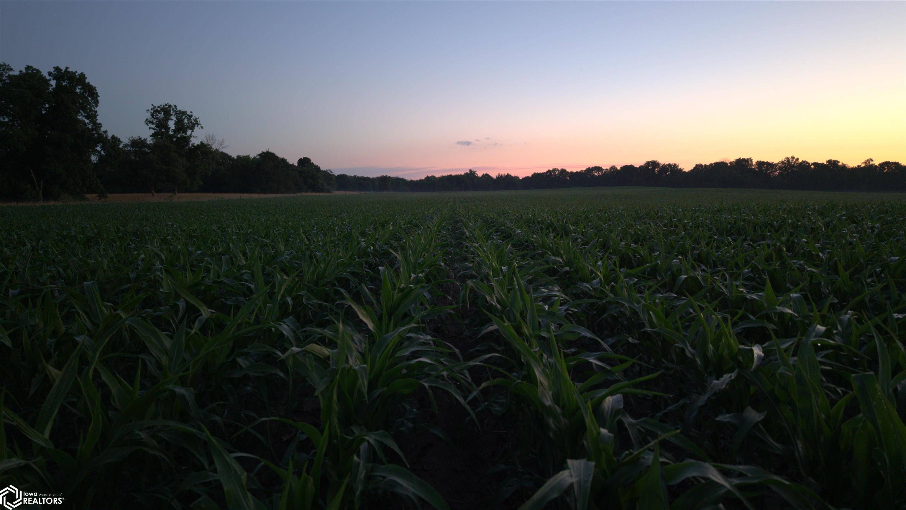 2826 Samson AVE, Lehigh, IA 50557