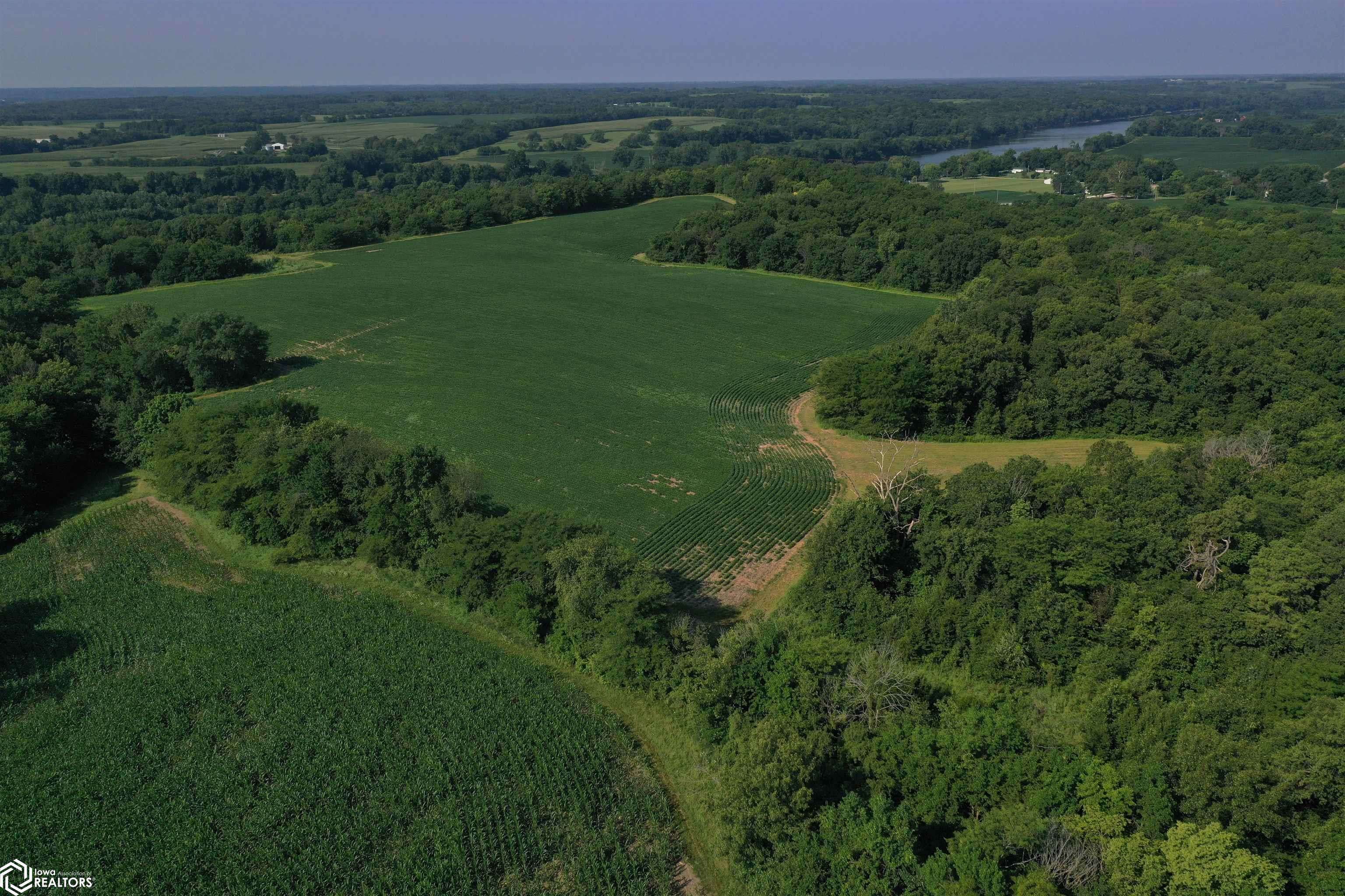 TBD 170th Street, Birmingham, IA 52535