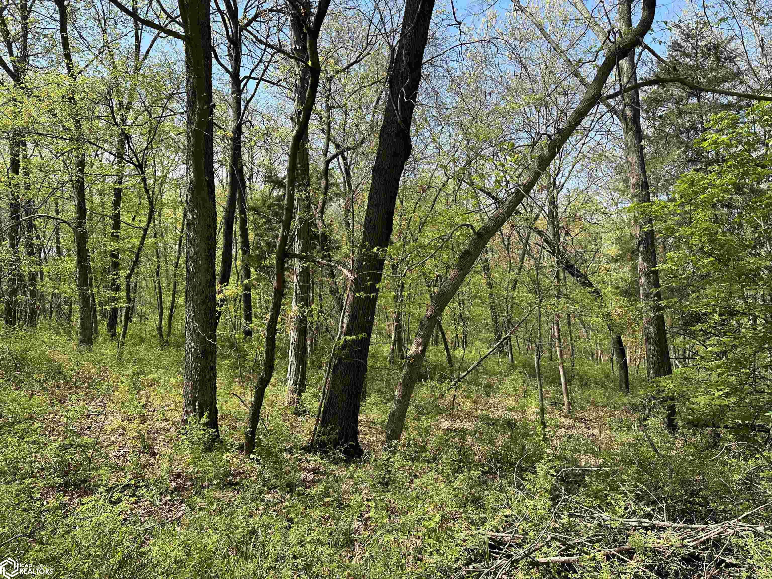 TBD 170th Street, Birmingham, IA 52535
