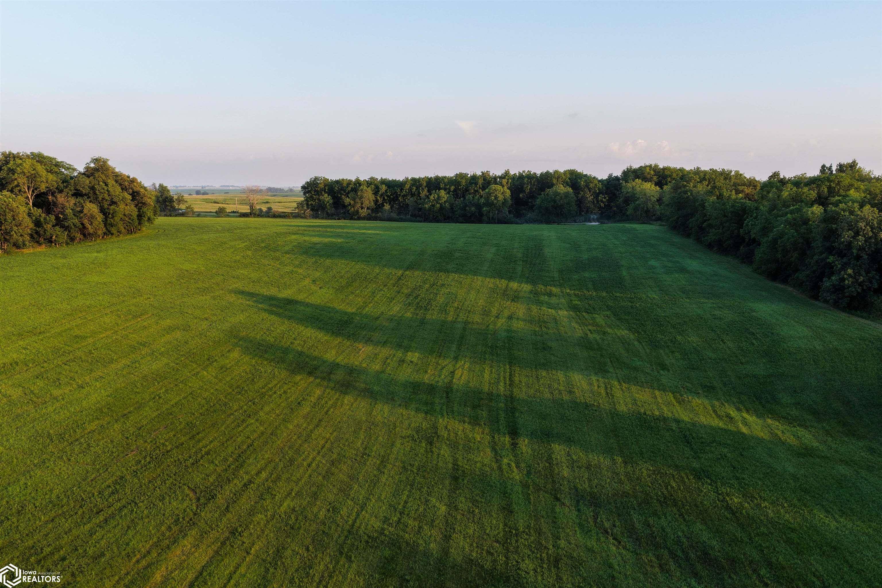 Lower Branch Road SE, West Branch, IA 52358