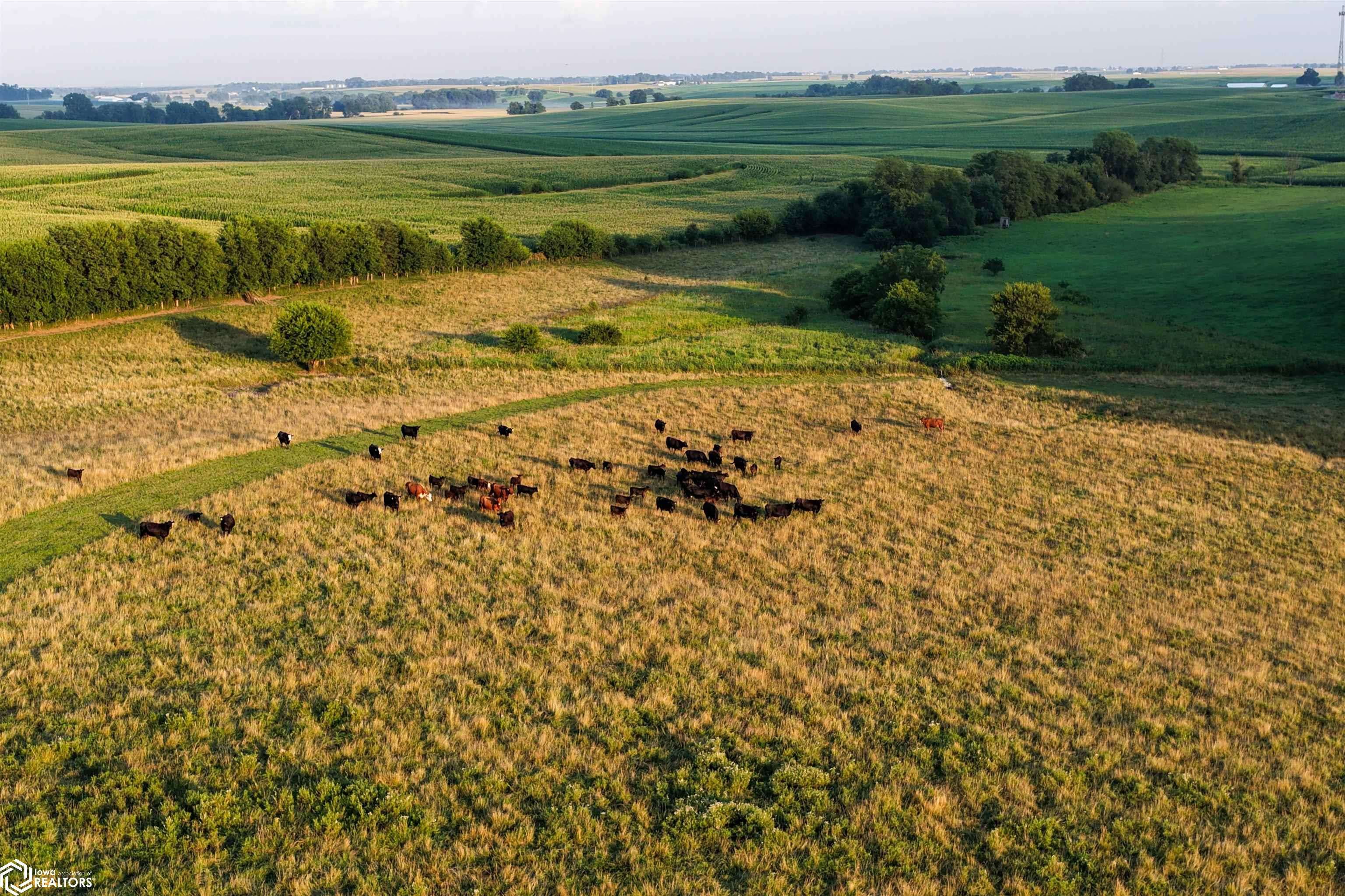 5371 Lower Branch Road SE, West Branch, IA 52358