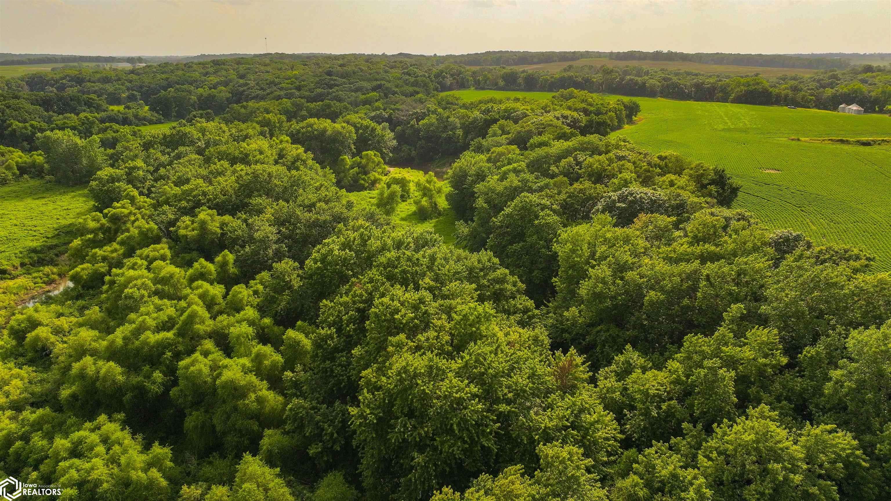 00 218th PL, Bussey, IA 50044
