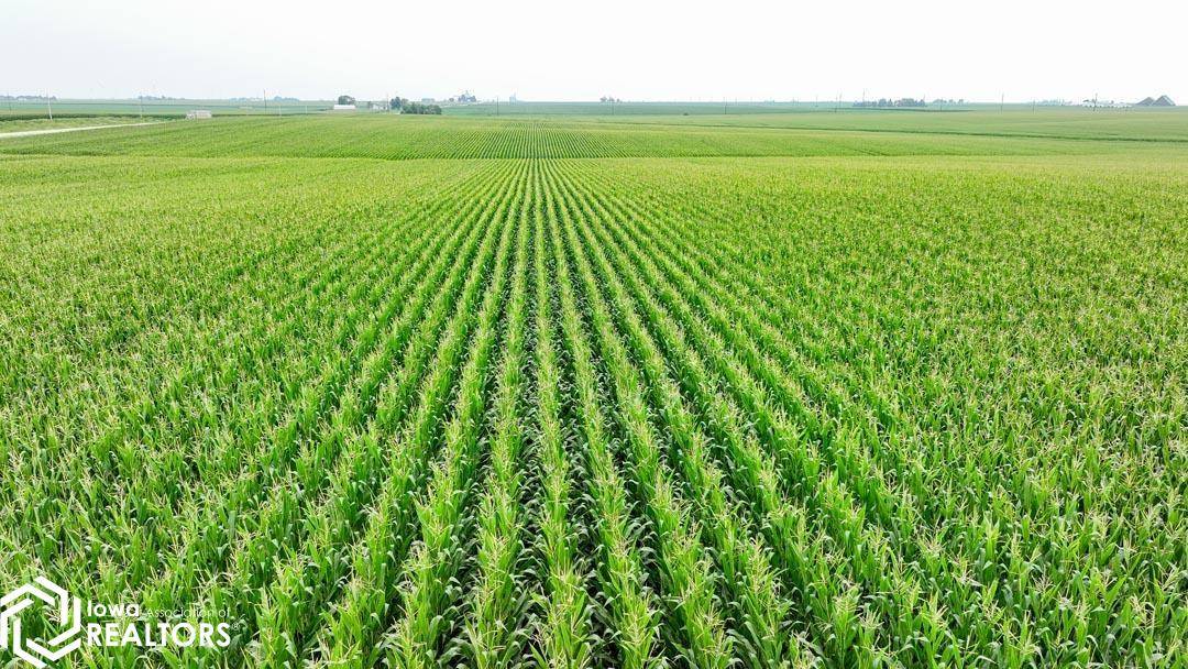 29443 IA-14, Conrad, IA 50621