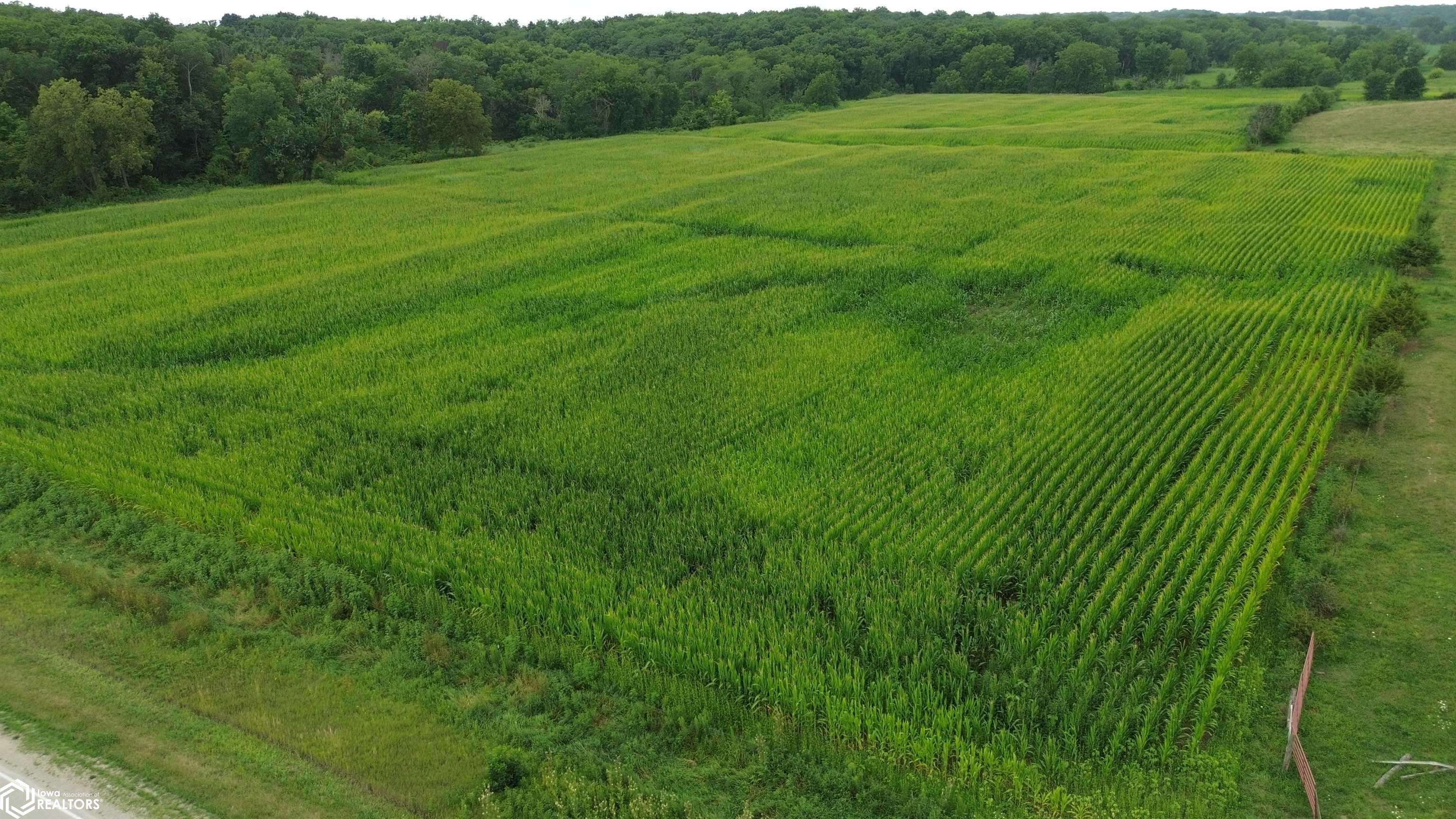 21 Acres Timber AVE, Bloomfield, IA 52537