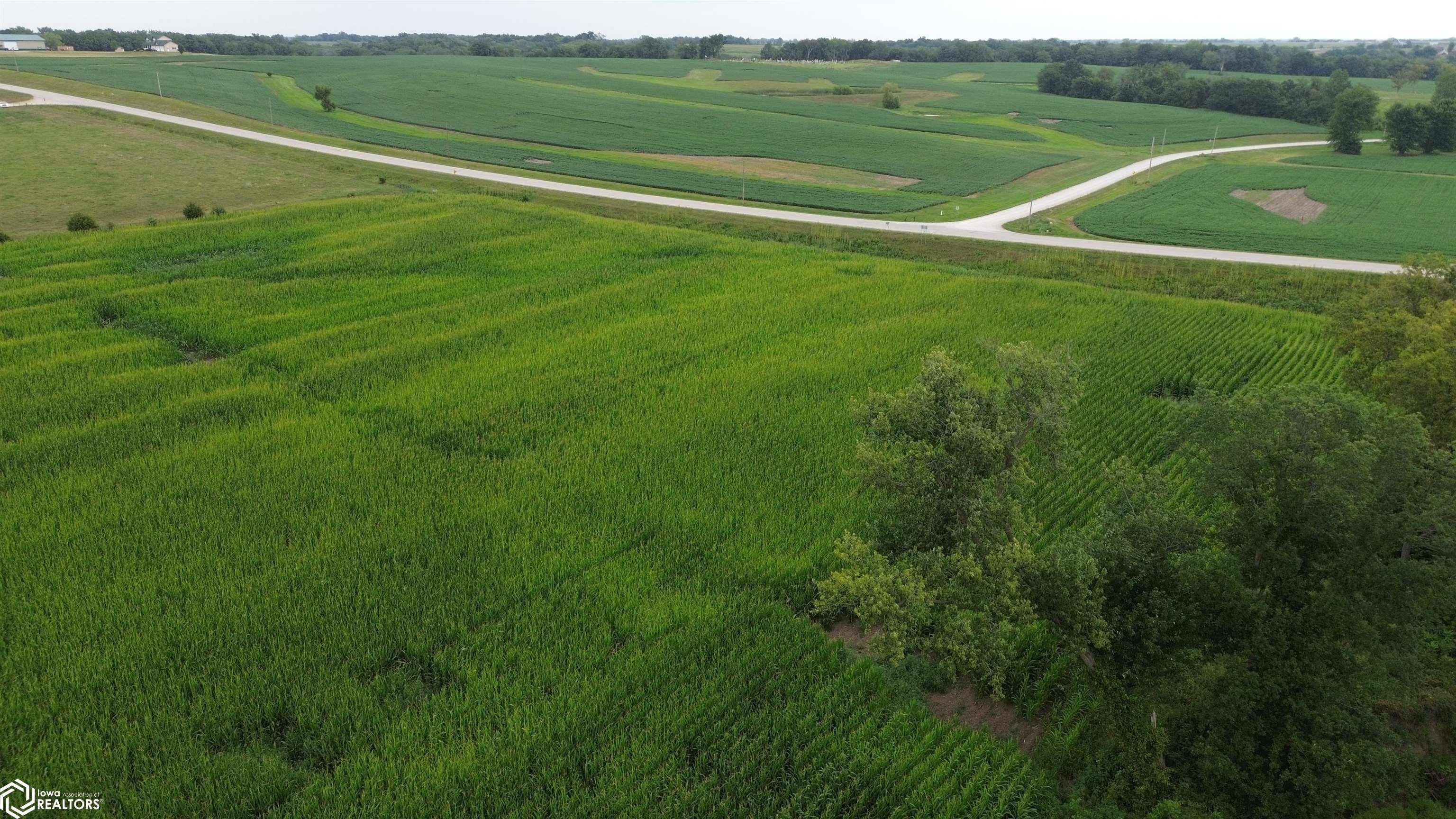 21 Acres Timber AVE, Bloomfield, IA 52537