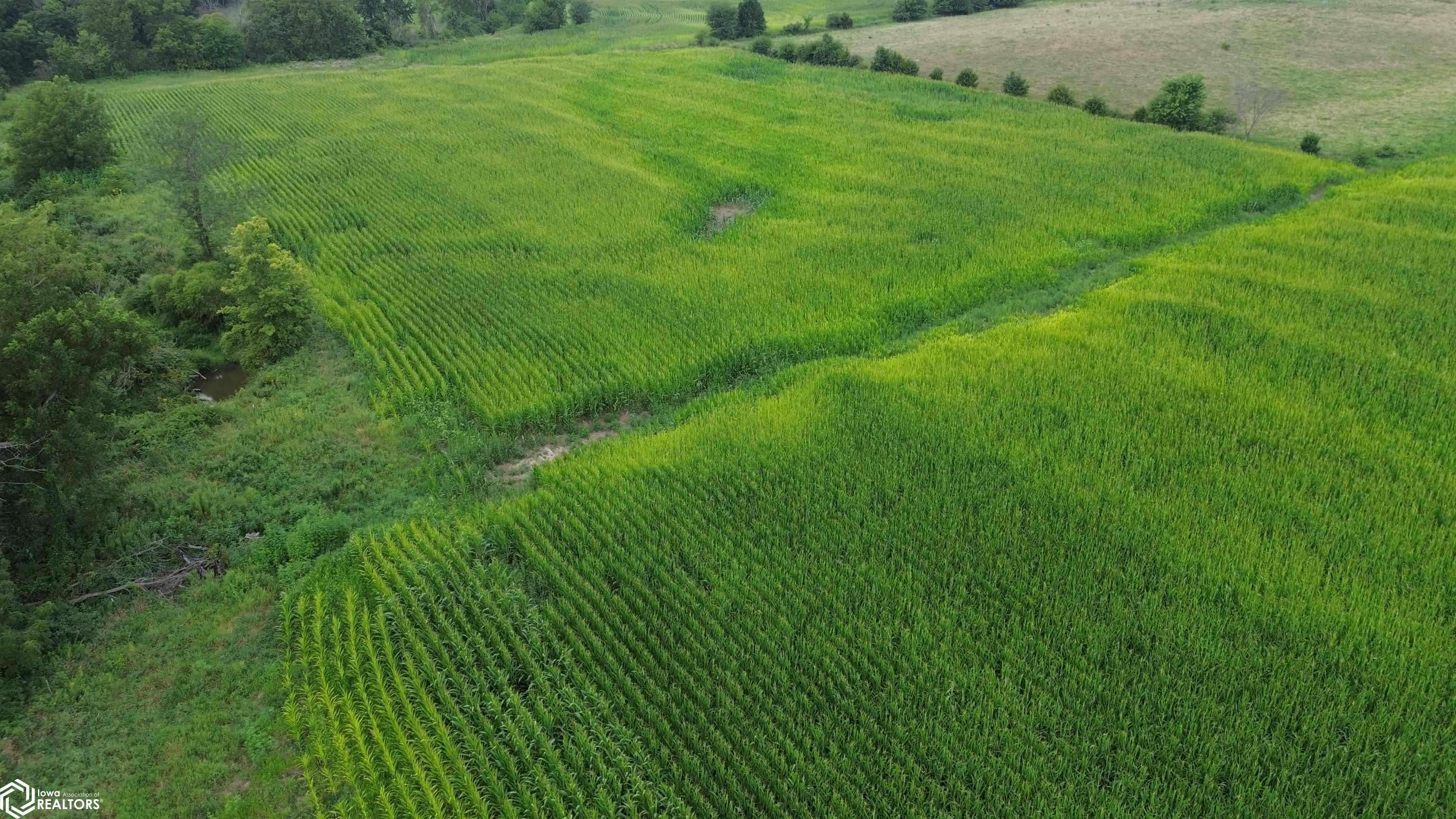 21 Acres Timber AVE, Bloomfield, IA 52537