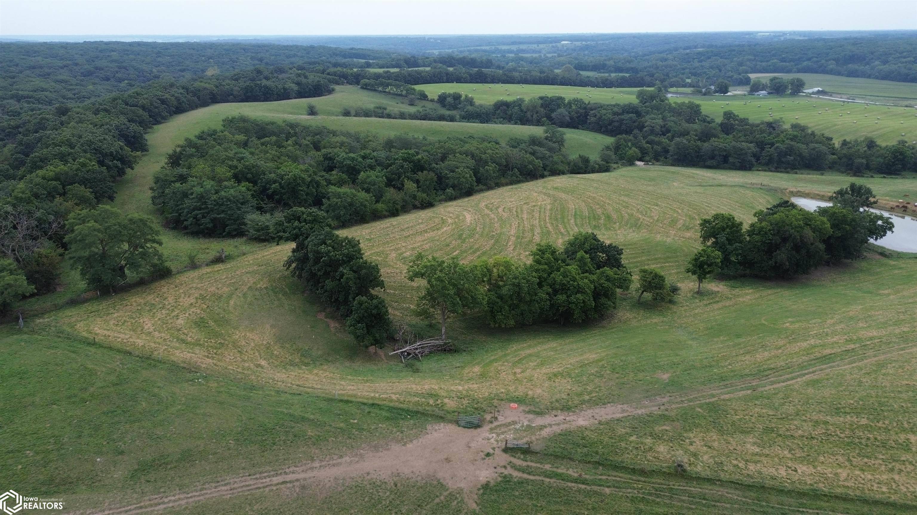 149 Acres T61, Unionville, IA 52594