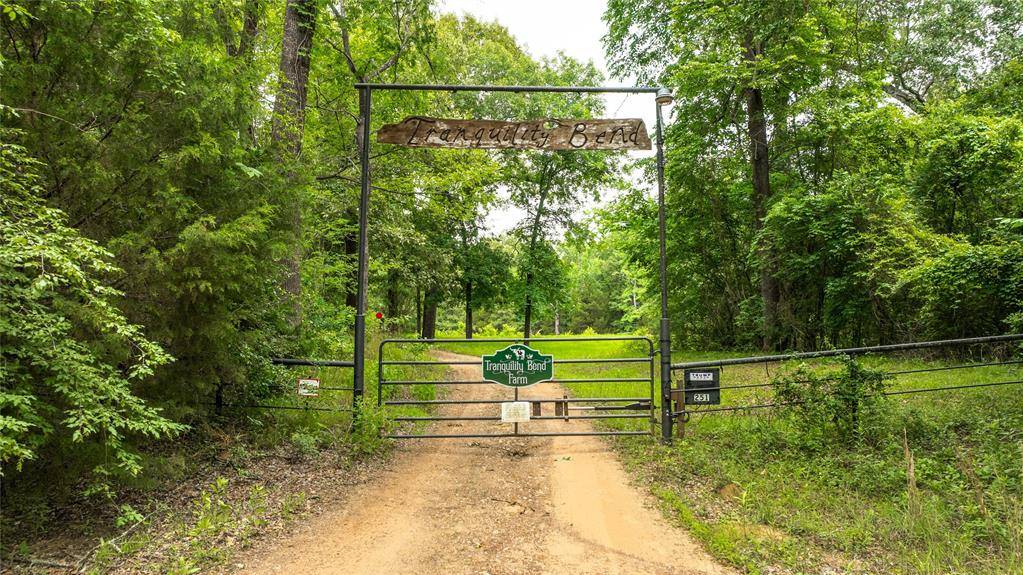 251 Private Road 8179, Ben Wheeler, TX 75754