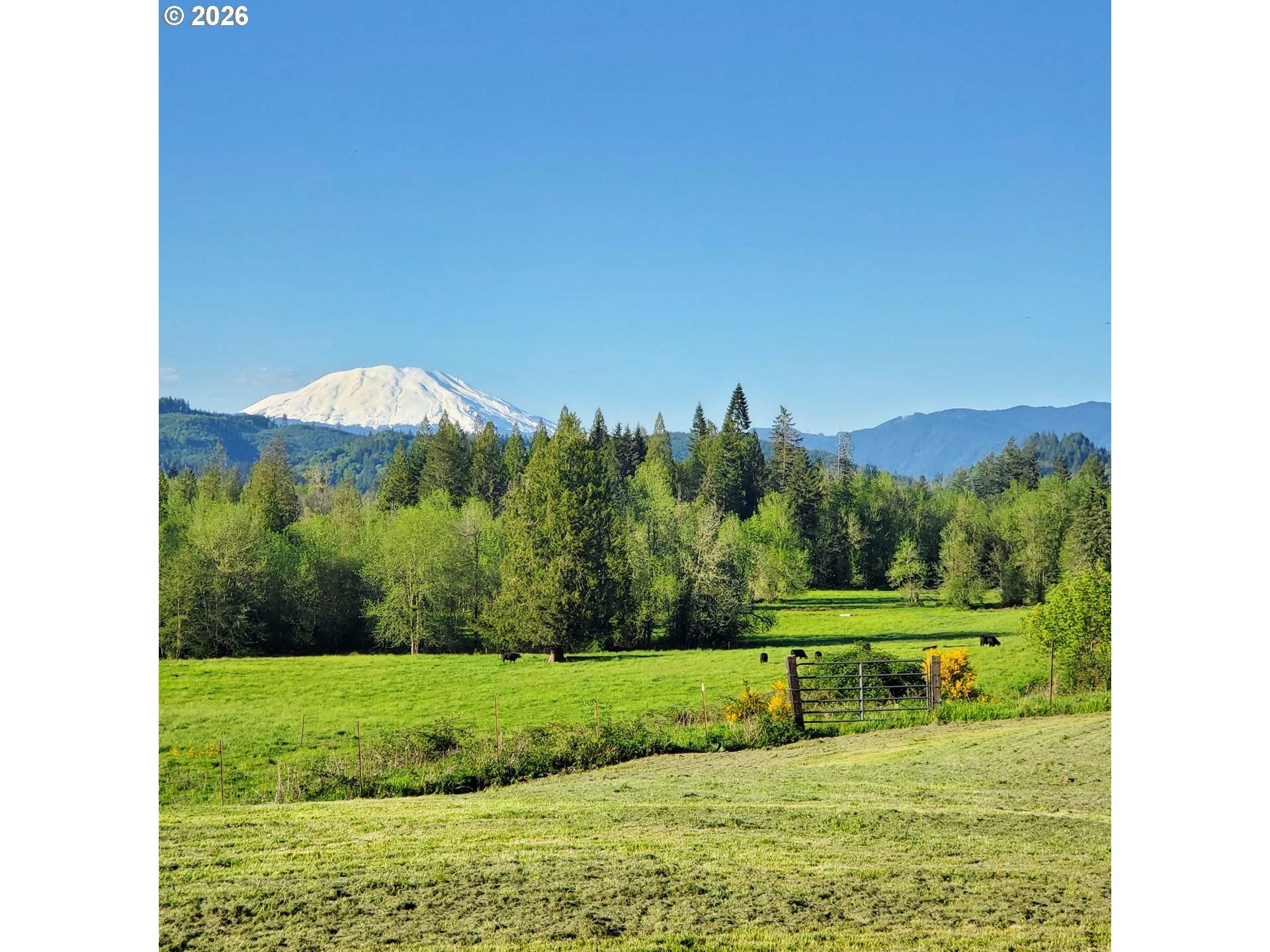 39827 NE GERBER MCKEE RD, Amboy, WA 98601