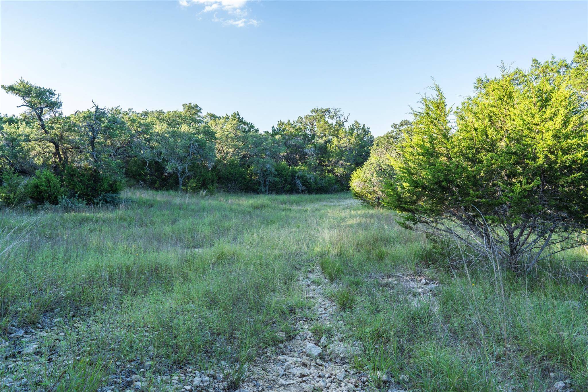 TBD Crabapple RD, Blanco, TX 78606