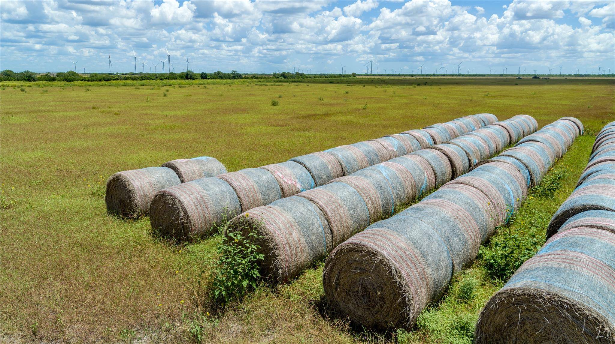 0 County Road 647, Mathis, TX 78368