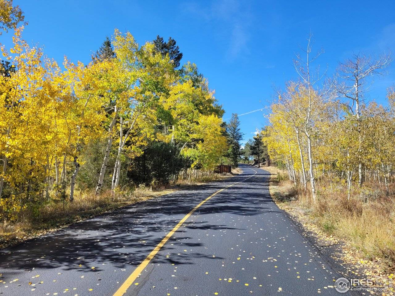1 Fox Acres, Red Feather Lakes, CO 80545