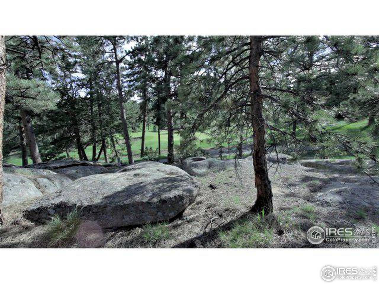 530 Fox Acres, Red Feather Lakes, CO 80545