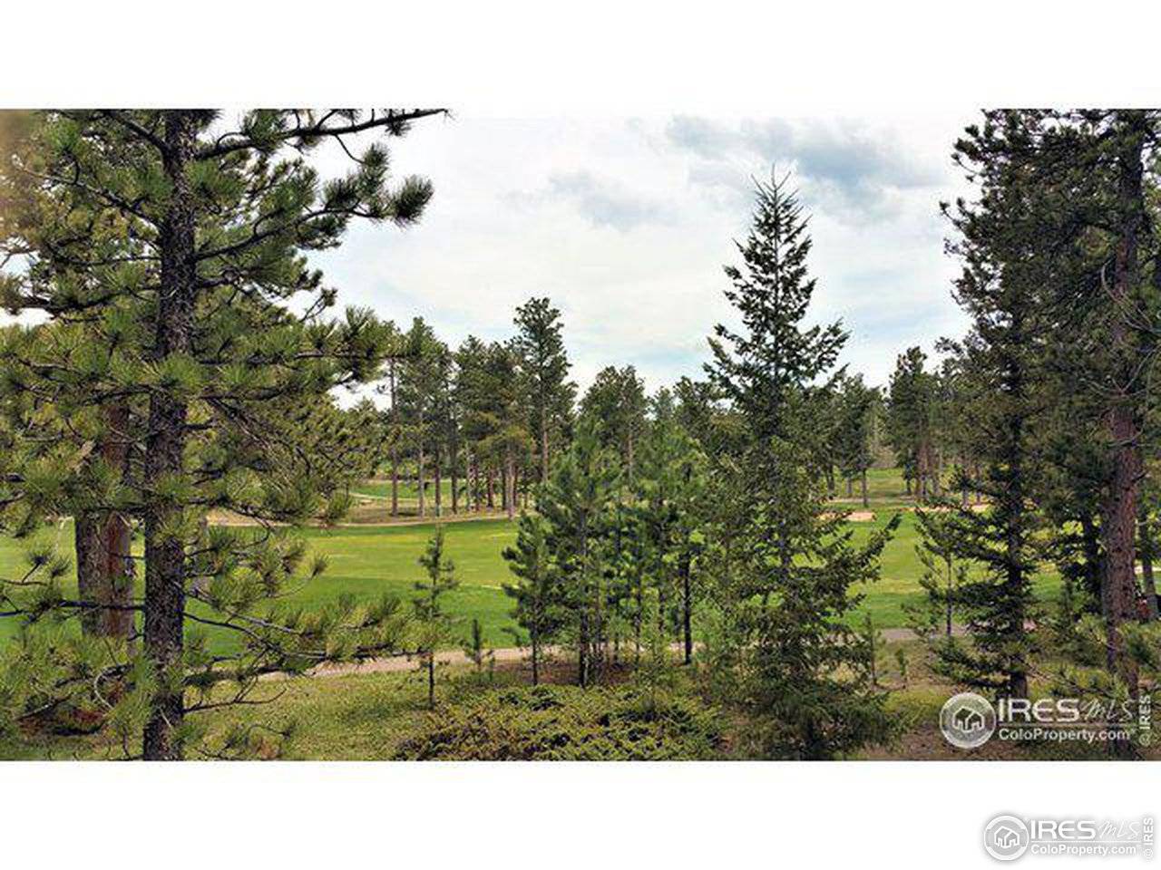 2945 Fox Acres, Red Feather Lakes, CO 80545