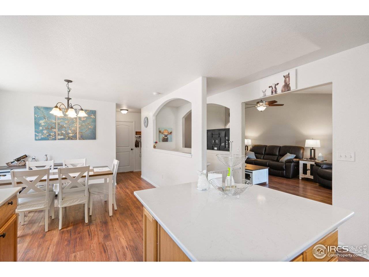 491 Homestead, Johnstown, CO 80534