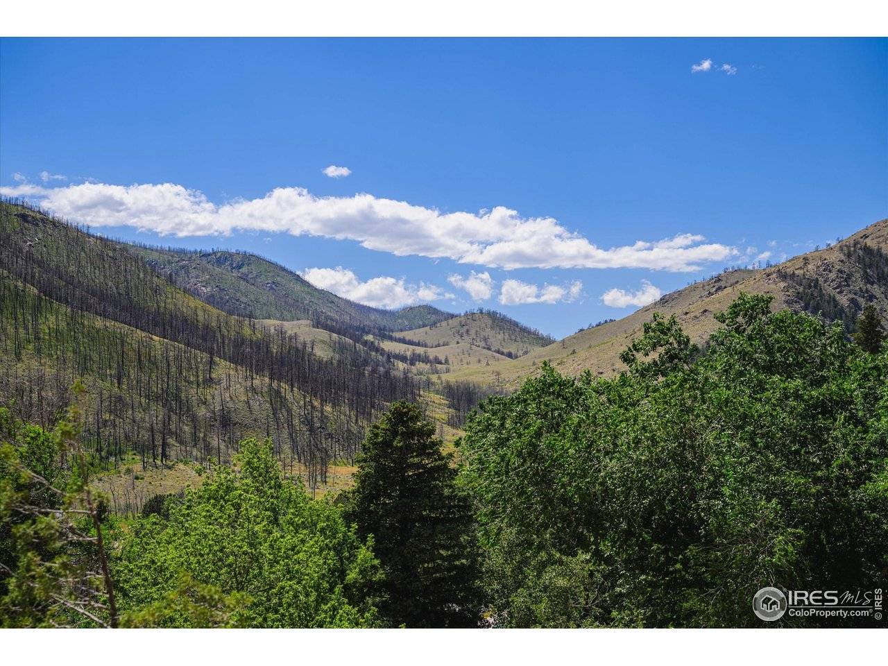 33040 Poudre Canyon, Bellvue, CO 80512