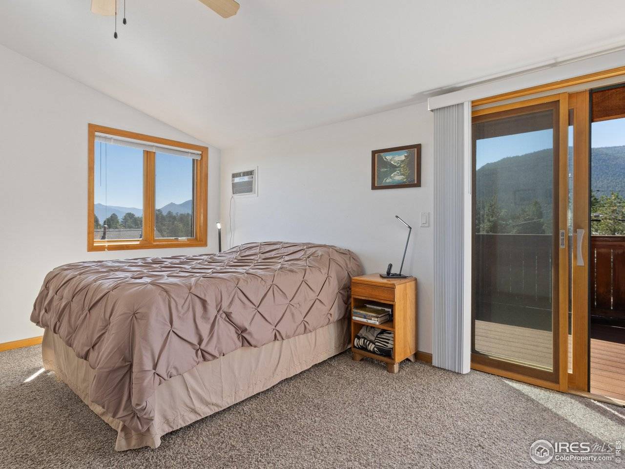 131 Willowstone, Estes Park, CO 80517