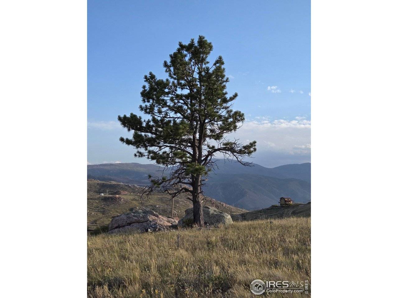 443 Meadow Mountain, Livermore, CO 80536